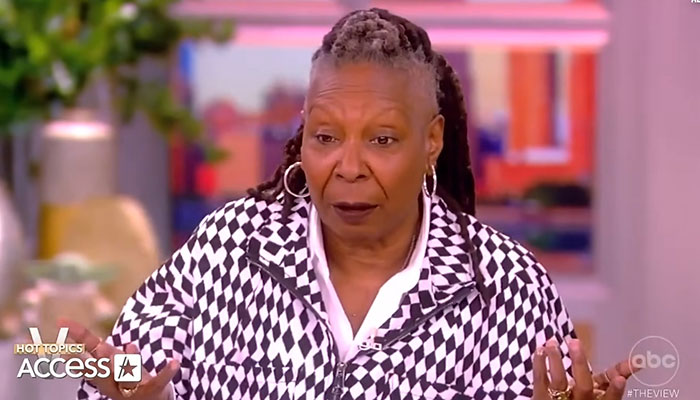 Woman with braided hair wearing a checkered jacket speaking about celebrities famous before their fame struck on a daytime talk show.