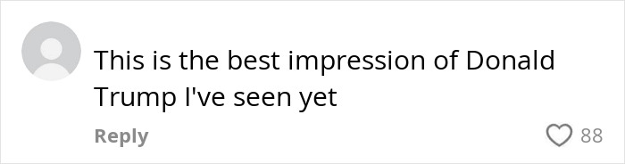 Comment praising a Chinese TikToker&rsquo;s viral impression of U.S. President Donald Trump.