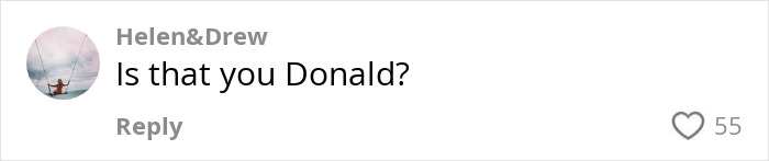 Comment on social media saying Is that you Donald, relating to Chinese TikToker&rsquo;s impression of U.S. President going viral.