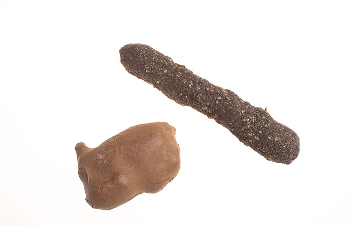 Unusual CIA spy technology devices shown against a white background illustrating human ingenuity.