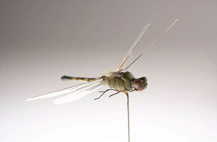 A detailed model of CIA spy technology resembling a dragonfly drone used for covert surveillance missions.