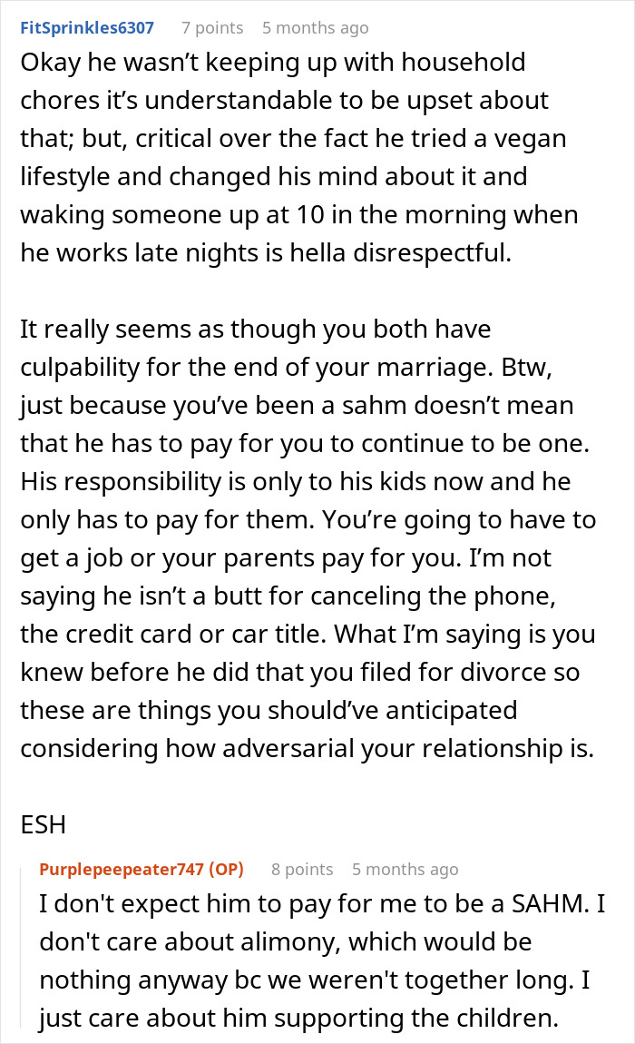 User comments discussing post-partum divorce and custody issues in a contentious household breakup conversation. User comments discussing post-partum divorce and custody issues in a contentious household breakup conversation.