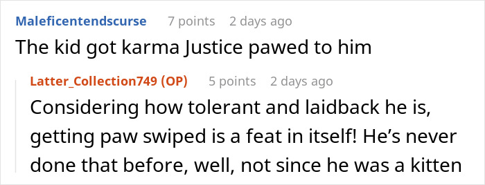 Cat Teaches Aggressive Child Not To Hurt Animals After Parents Failed To Do So