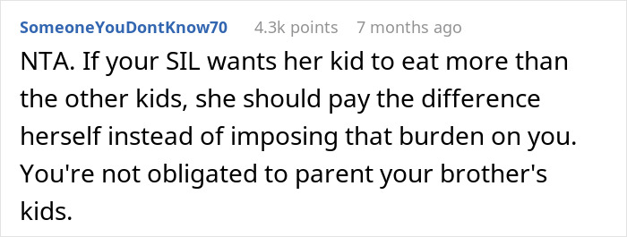 Reddit comment explaining refusal to have kid outings with brother&rsquo;s kids and related family responsibility issues.