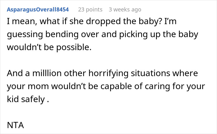 Comment expressing concern about an obese mom babysitting a newborn and safety issues raised by users online.
