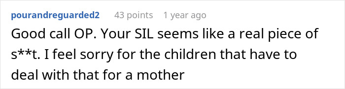 Comment on Reddit discussing a woman served with divorce papers six months after giving birth for caring for sister-in-law&rsquo;s kids.