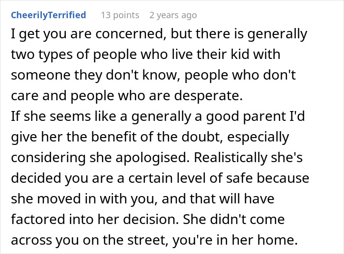 Reddit comment discussing woman leaving child with stranger roommate for work emergency, trust and parenting concerns.