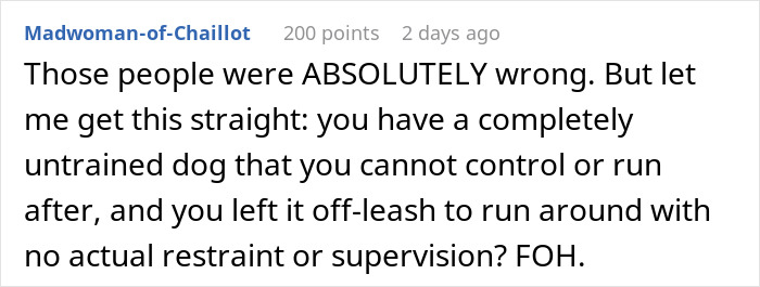 Screenshot of a comment criticizing an owner for letting an untrained dog run off-leash without supervision at a park.