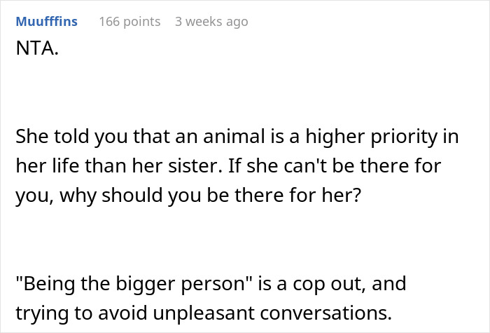 Comment discussing maid of honor missing sister&rsquo;s wedding due to prioritizing lost dog over family event.