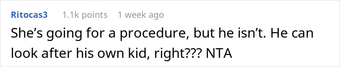 Screenshot of an online comment discussing a woman needing a babysitter and considering her husband&rsquo;s ex as an option.