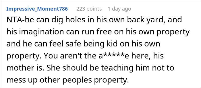 Comment text about neighbor child digging ruining lawn, explaining property boundaries and responsibility for damage.