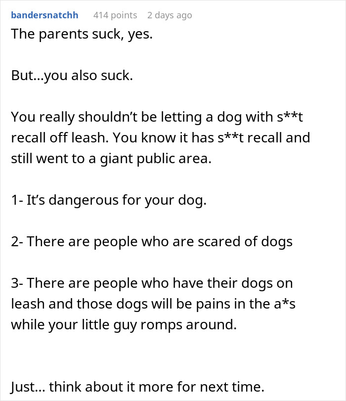 Screenshot of a Reddit comment discussing dangers of letting a dog with poor recall off leash in a public park.