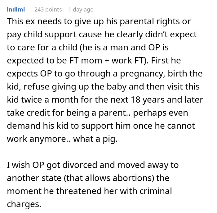 Comment discussing ex-husband&rsquo;s parental rights and child support in a debate about demanding baby custody every other week.