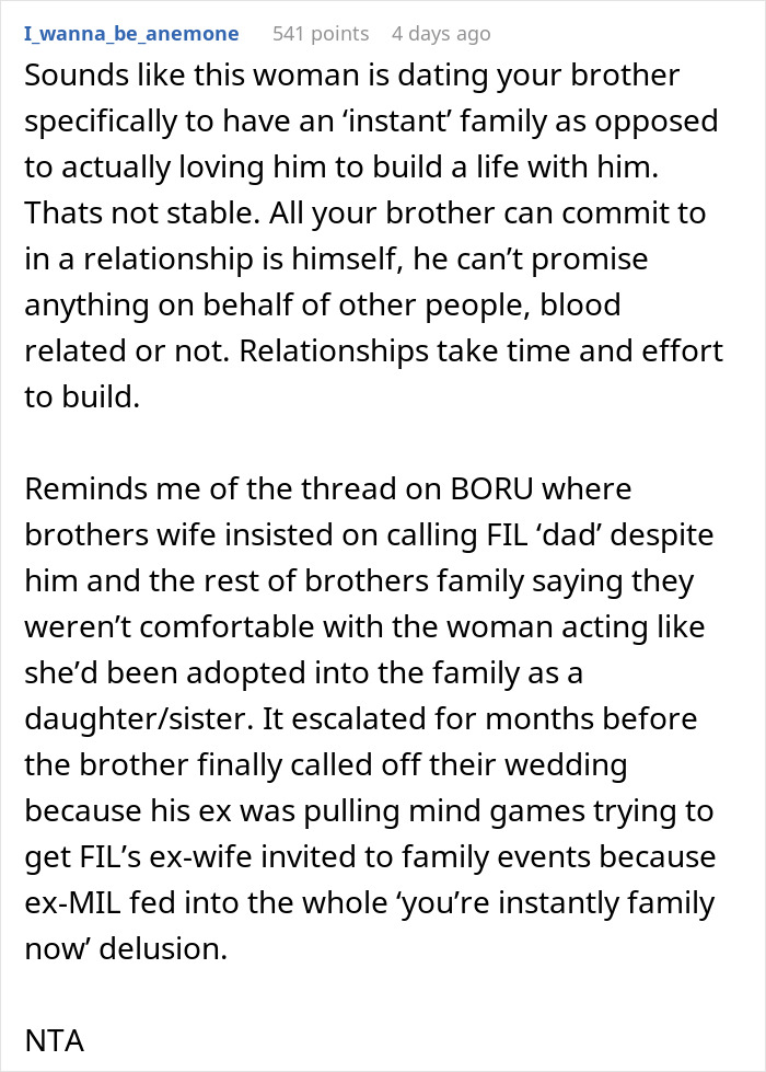Reddit comment discussing boundaries in relationships with brother&rsquo;s girlfriend regarding treatment of her kids.