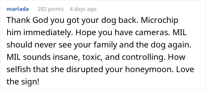 Comment text on screen discussing MIL rehoming dog during couple&rsquo;s honeymoon and advising microchipping and caution.