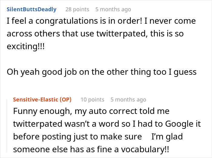 Reddit comments discussing unusual vocabulary in a casual conversation about a woman&rsquo;s cross-country move.