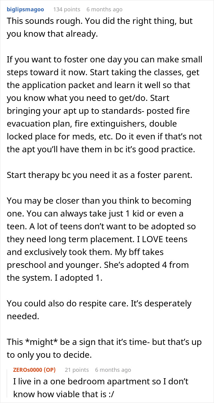 Comment discussing foster care advice in response to babysitter heartbroken over kids living conditions and calling CPS.