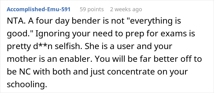 Screenshot of a Reddit comment discussing an 18-year-old left with two kids for days by sister, highlighting family and responsibility issues.