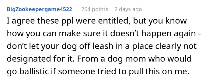 Comment discussing dog owners&rsquo; responsibility after a dog almost gets stolen by kids at a park.