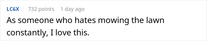 Comment expressing appreciation for a no-mow lawn approach amid annoying neighbor reports about overgrown weeds and certified wildlife habitat.