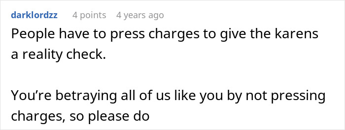 Text from an online comment discussing pressing charges to hold people accountable in a controversial babysitting incident involving hair dye.