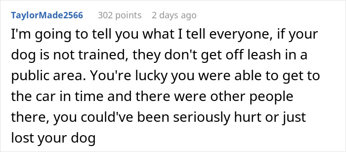 Comment warning about dog safety at park, discussing how untrained dogs off leash risk being stolen by kids.