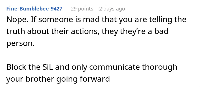 Screenshot of a comment discussing posting screenshots of SIL's texts online and making her look bad in a family dispute.