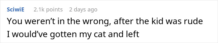 Cat Teaches Aggressive Child Not To Hurt Animals After Parents Failed To Do So