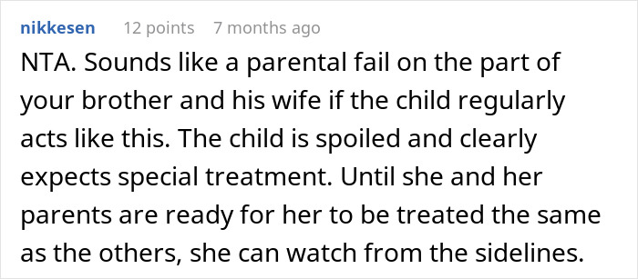 Reddit comment discussing refusing kid outings with brother&rsquo;s kids due to spoiled behavior and parental issues.