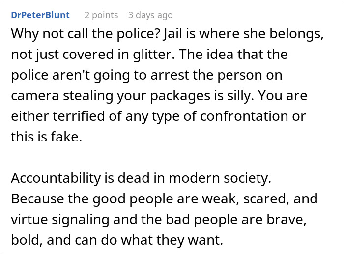 Comment discussing police action and accountability in relation to neighbor stealing packages and petty revenge.