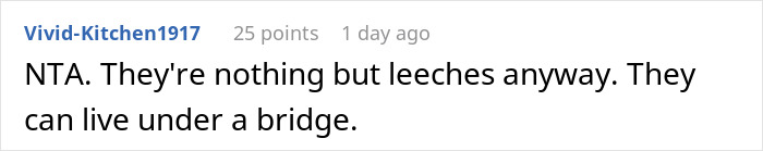 Screenshot of a social media comment showing a user calling daughters pathetic and criticizing their treatment of half-brother.