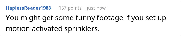 Comment suggesting to set up motion-activated sprinklers to deter neighbors sending relatives to use the pool without consent.