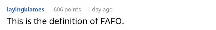 User comment text on a plain background about defining FAFO, illustrating an online discussion thread.