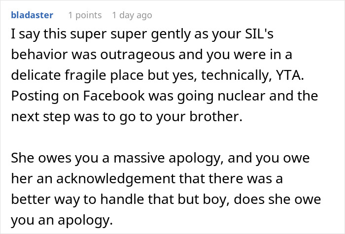 Reddit comment discussing posting screenshots of SIL's texts online and debating if it was wrong to make her look bad.
