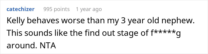 Screenshot of an online comment discussing a woman refusing to take her sister&rsquo;s kid on trips and asking if she is a jerk.