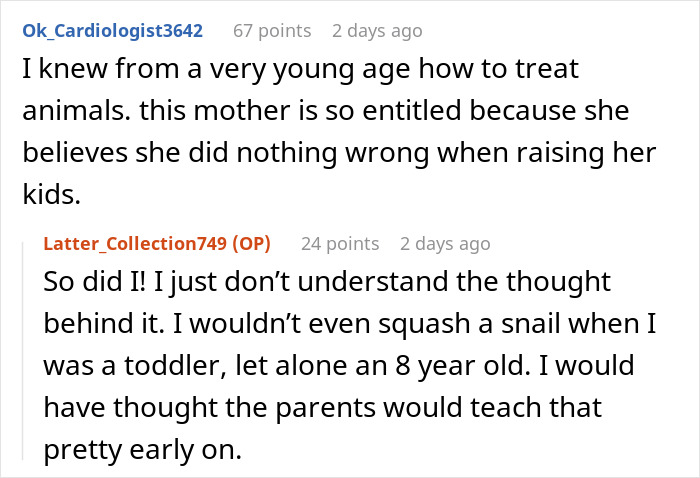 Cat Teaches Aggressive Child Not To Hurt Animals After Parents Failed To Do So