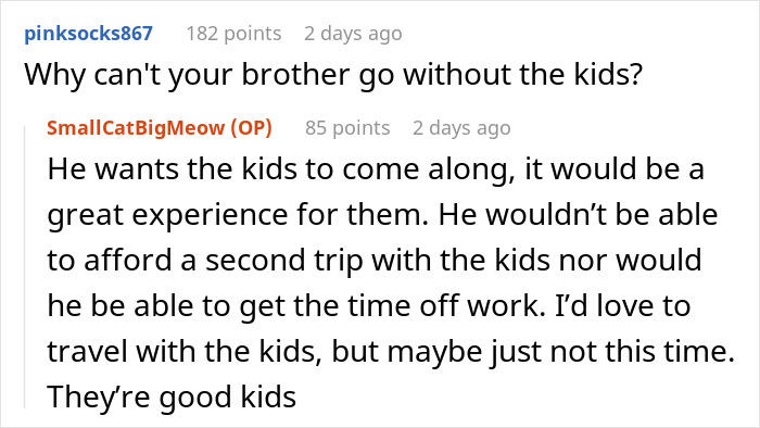 Screenshot of a Reddit conversation about a man planning a life-changing trip after cancer and his brother&rsquo;s picky kids invited.