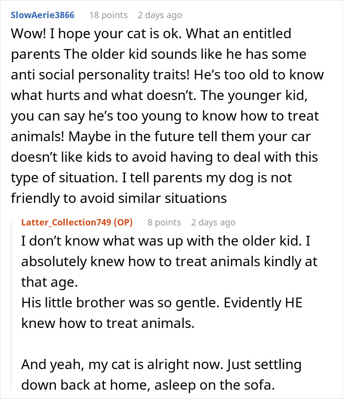 Cat Teaches Aggressive Child Not To Hurt Animals After Parents Failed To Do So