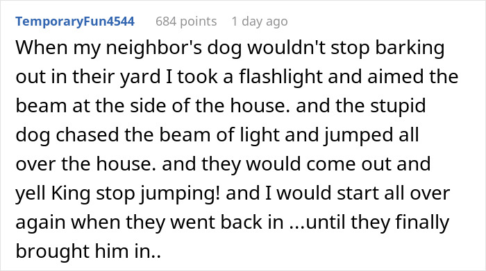 Homeowner uses flashlight to teach inconsiderate neighbor proper dog owner etiquette by controlling noisy dog behavior.