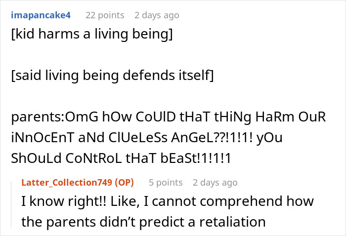 Cat Teaches Aggressive Child Not To Hurt Animals After Parents Failed To Do So