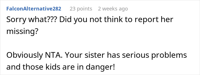 Screenshot of a Reddit comment discussing concerns about a sister leaving 18-year-old with two kids for several days.