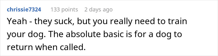 Comment discussing the importance of training a dog to return when called after a near theft incident at a park.