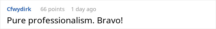 Screenshot of an online comment praising professionalism in a discussion about a finger-snapping Karen treating an engineer poorly.