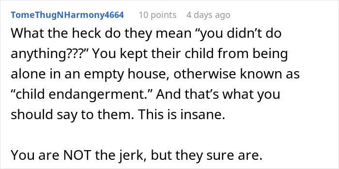 Comment text discussing babysitter's role in preventing child endangerment and defending against unfair payment disputes.