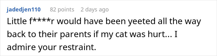 Cat Teaches Aggressive Child Not To Hurt Animals After Parents Failed To Do So