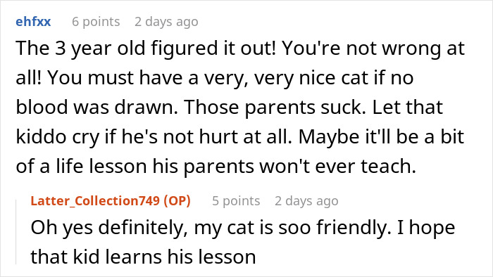 Cat Teaches Aggressive Child Not To Hurt Animals After Parents Failed To Do So