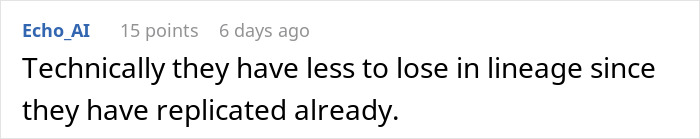 Reddit comment discussing risks at work related to not having kids and the impact on personal lineage and choices.