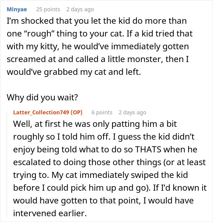 Cat Teaches Aggressive Child Not To Hurt Animals After Parents Failed To Do So