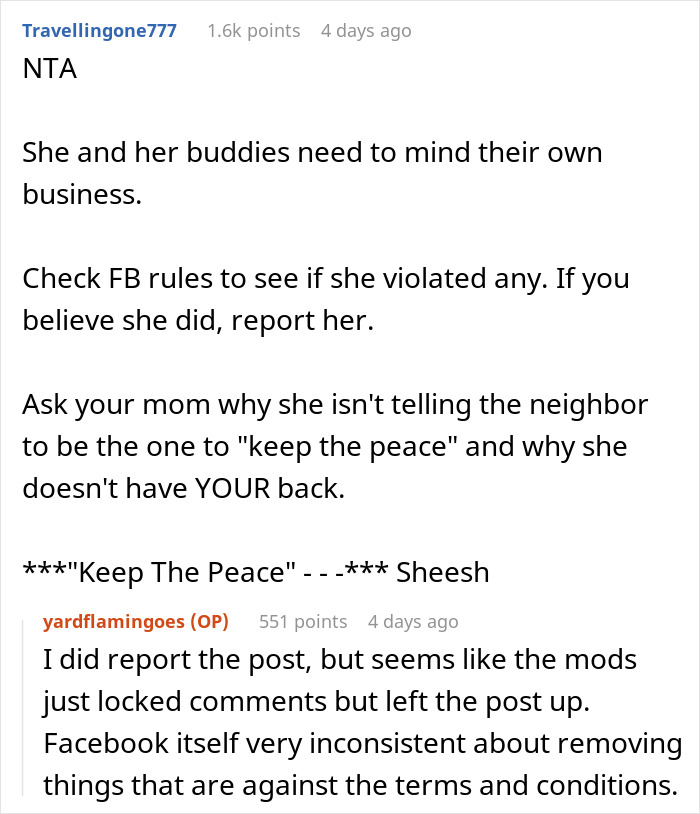 Screenshot of a Facebook conversation about a neighbor&rsquo;s pink flamingos and a related campaign dispute.