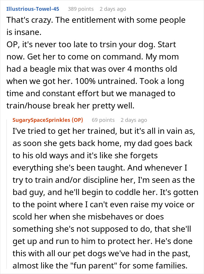 Comment thread about dog training challenges, discussing dog almost getting stolen by kids at park and owner&rsquo;s struggle.
